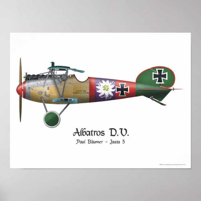 Albatros D.V. ww1 German Fighter Flygplan Bäumer Poster (Framsidan)