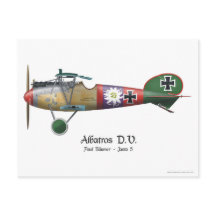 Albatros D.V. ww1 German Fighter Flygplan Bäumer