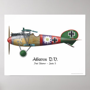 Albatros D.V. ww1 tyskt kämpeflygplan Bäumer Poster
