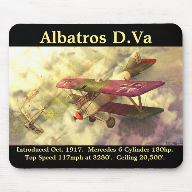 Albatros D.Va Musmatta (Framsidan)