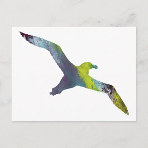 Albatross Animal silhouette Vykort