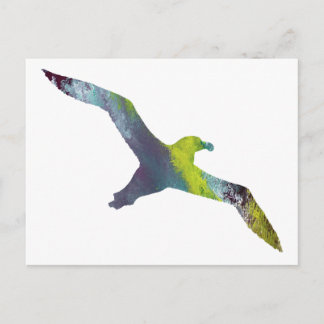 Albatross Animal silhouette Vykort