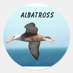 Albatross Flies Runt Klistermärke