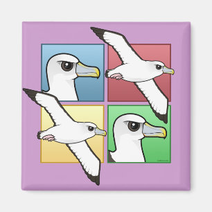 Albatross för fyra färg magnet