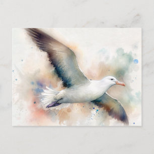 Albatross Vatercolor Postcard Vykort