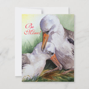 Albatrosser i Alla hjärtans dag-kortet Kärlek Julkort