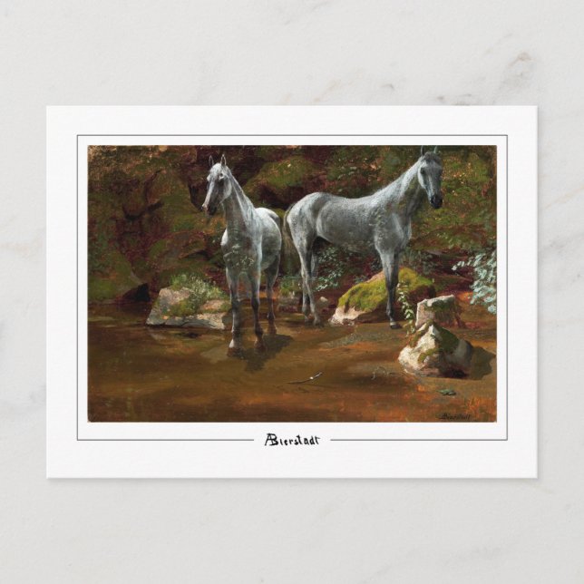 Albert Bierstadt #149 - vykort för konst (Framsida)