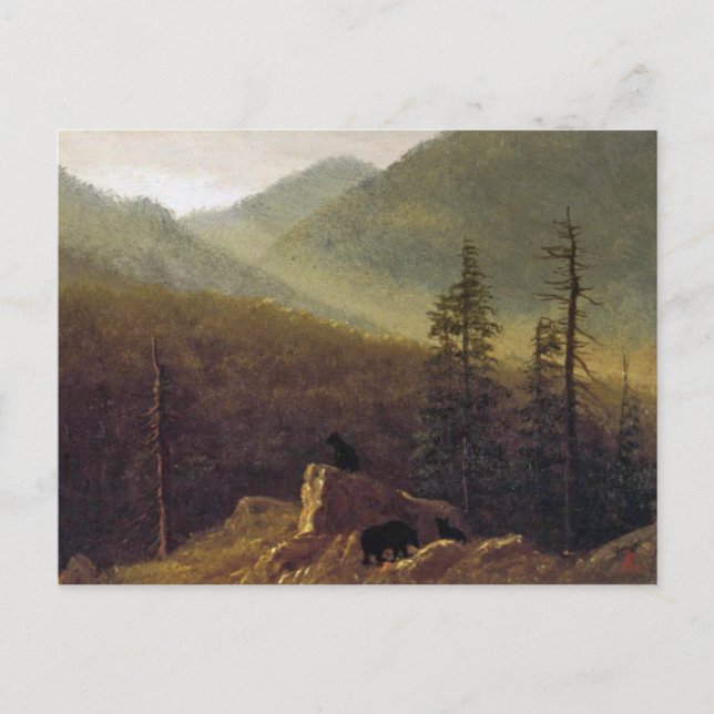 Albert Bierstadt, Bears in the Wilderness Postcard Vykort (Framsida)