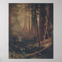 Albert Bierstadt Giant Redwood Träd i Kalifornien