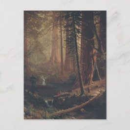 Albert Bierstadt Jättelika Redwood-träd i Kaliforn Vykort