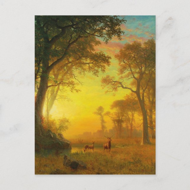 Albert Bierstadt Light i skogen Vykort (Framsida)