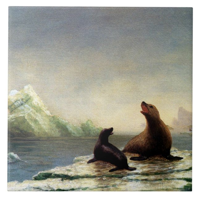 Albert Bierstadt, Sälar Kakelplatta (Framsidan)