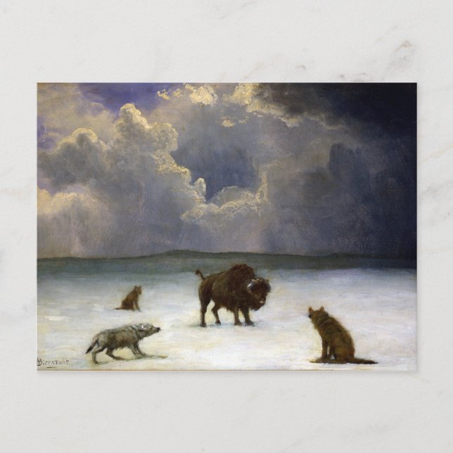 Albert Bierstadt Trapped Vykort (Framsida)