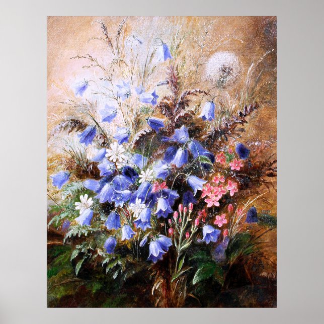 Albert Dürer Lucas: Harebells och Centaury Poster (Framsidan)