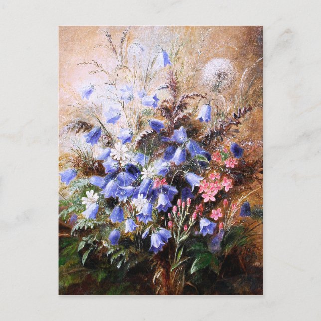 Albert Dürer Lucas: Harebells och Centaury Vykort (Framsida)