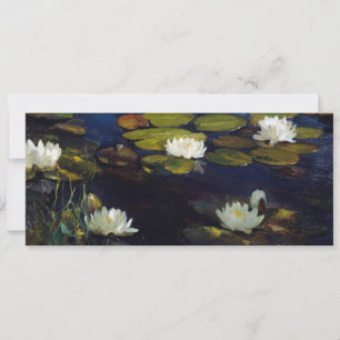 Albert Edelfilt - Vatten Lilies, Study Inbjudningar