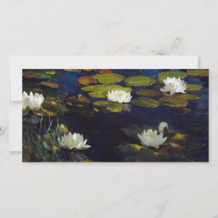 Albert Edelfilt - Vatten Lilies, Study Tack Kort