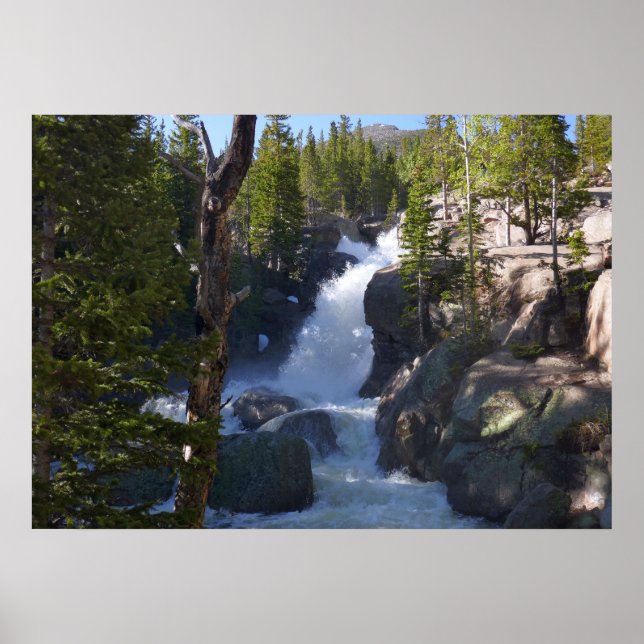 Alberta Falls I Poster (Framsidan)