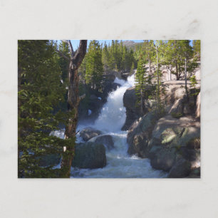 Alberta Falls I Vykort