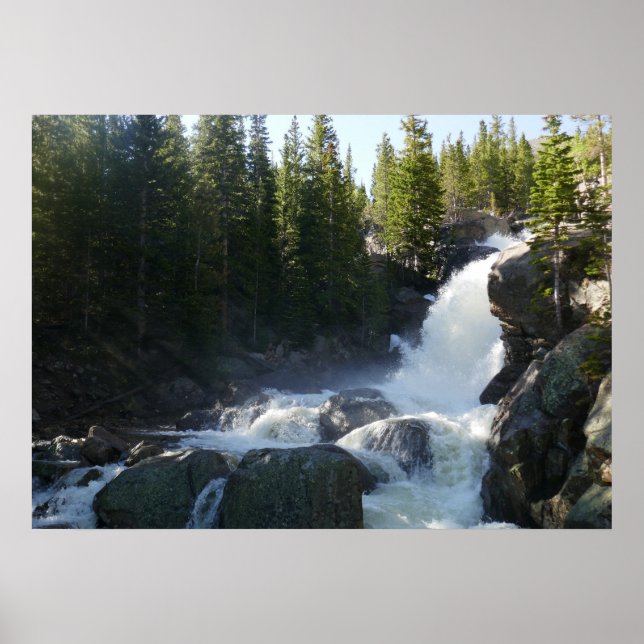 Alberta Falls II Poster (Framsidan)