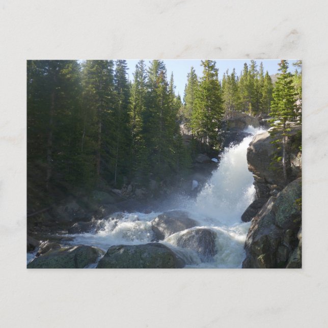 Alberta Falls II Vykort (Framsida)
