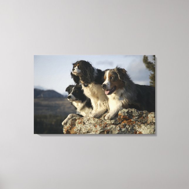 Alberta, Kanada 2 Canvastryck (Framsida)