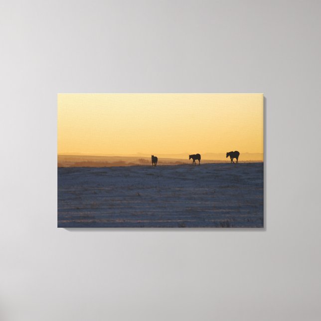 Alberta, Kanada 3 Canvastryck (Framsida)