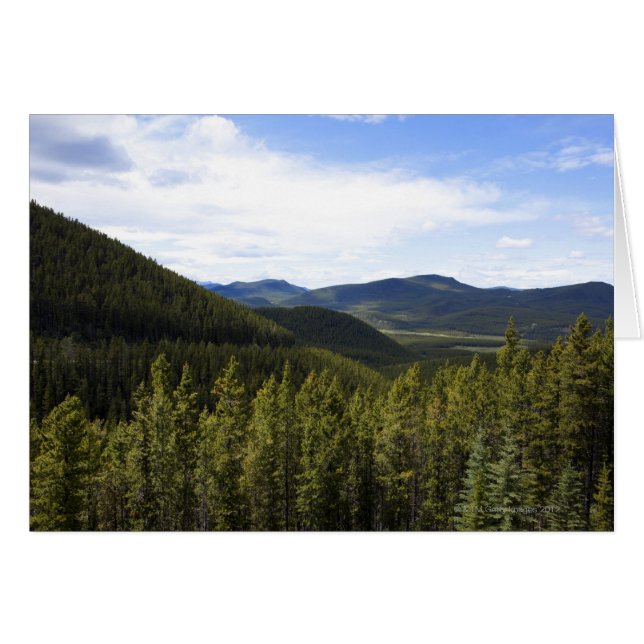 Alberta Kanadas fotgängare. Hälsningskort (Framsidan Horizontal)