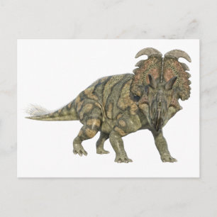 Albertaceratops Dinosaur Tittar till Front Vykort