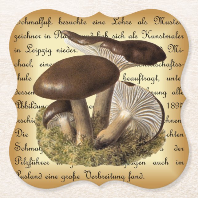Albin Schmalfuß ~ Märzschneckling-1 ~ Svampar ~ Underlägg Papper (Framsida)