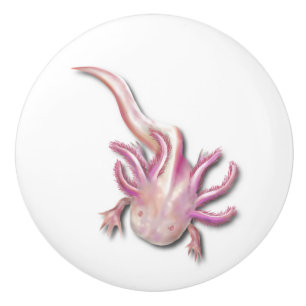 Albino Axolotl "Walking Fish" Art Knopp