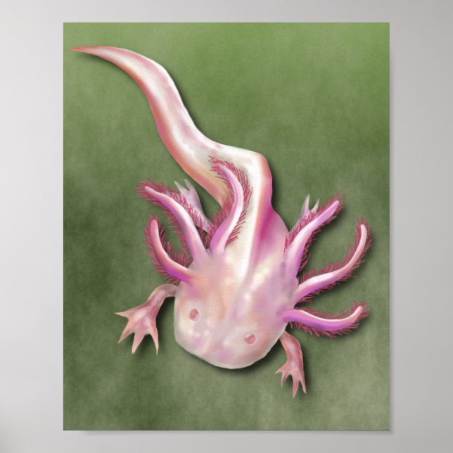 Albino Axolotl "Walking Fish" Art Poster (Framsidan)