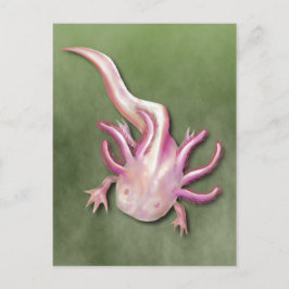 Albino Axolotl "Walking Fish" Art Vykort
