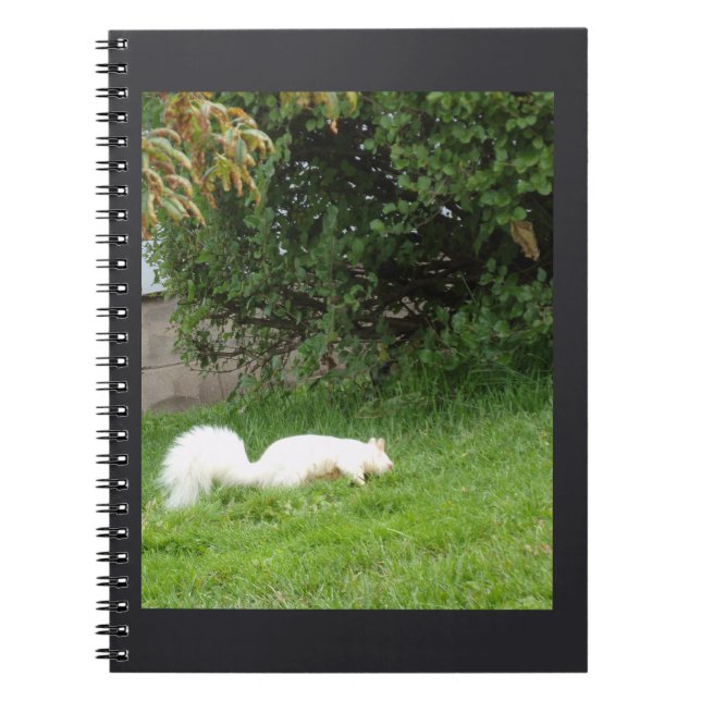 Albino-ekorre anteckningsbok (Framsidan)