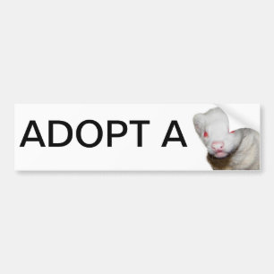 Albino Ferret Bild Bildekal