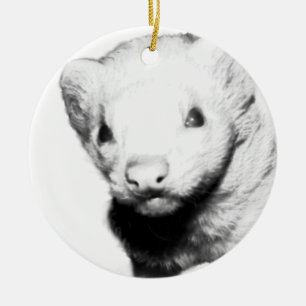 Albino Ferret Bild Julgransprydnad Keramik