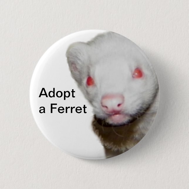 Albino Ferret Bild Knapp (Framsida)