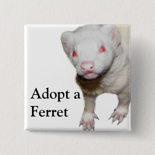 Albino Ferret Bild Knapp (Framsida)