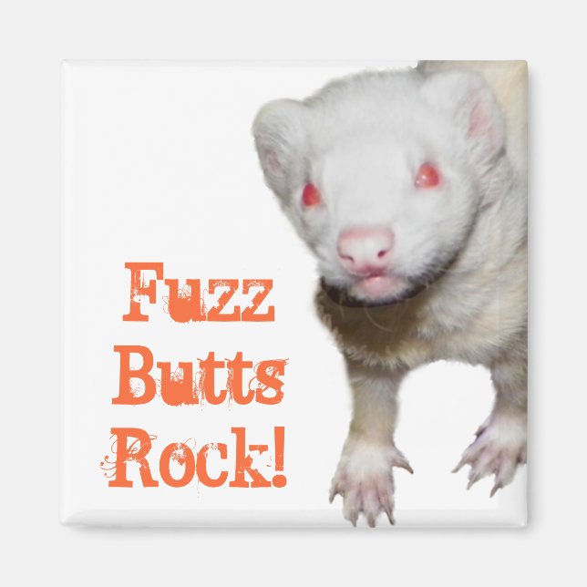 Albino Ferret Bild Magnet (Framsidan)