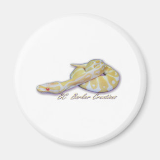 Albino Hatchling Boll Python Magnet
