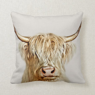 Albino Highland Cow Kudde