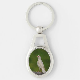 Albino Robin i Krona Point Ovalt Silverfärgad Nyckelring