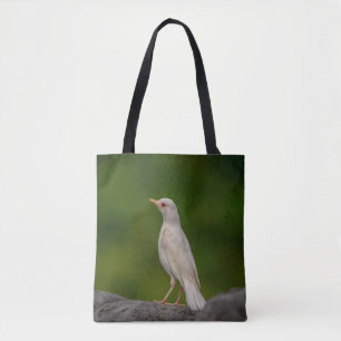 Albino Robin i Krona Point Tygkasse