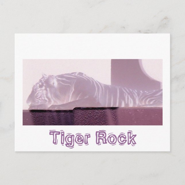 Albino Tiger Vykort (Framsida)