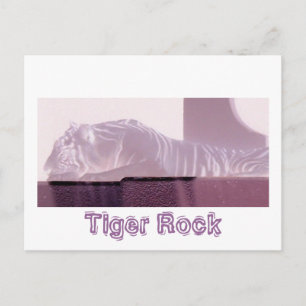 Albino Tiger Vykort