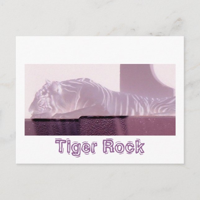 Albino Tiger Vykort (Framsida)