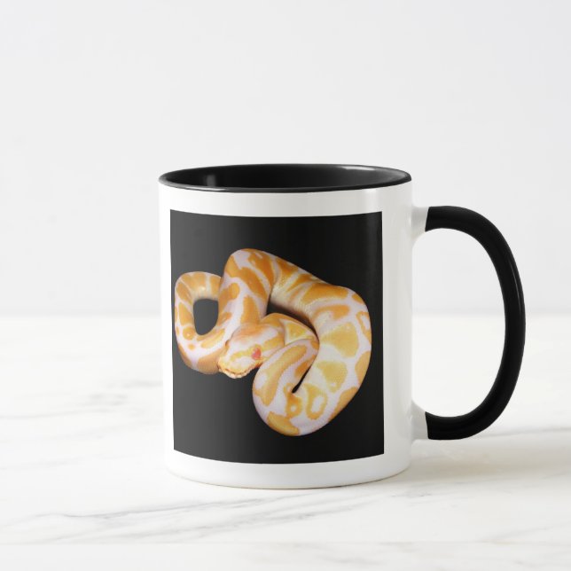 Albinobollpytonorm Mugg (Höger)