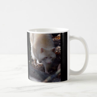 AlbinoRaccoonmugg Kaffemugg