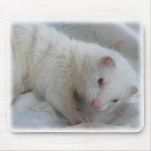 Albinovesslabild Musmatta