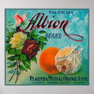 Albion brännmärker den citrusa lådaetiketten poster